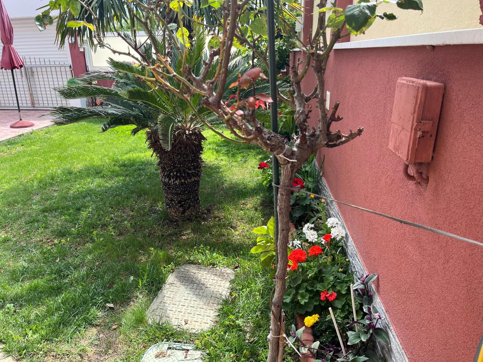 Apartments Villa Stella Maris روغوزنيكا المظهر الخارجي الصورة