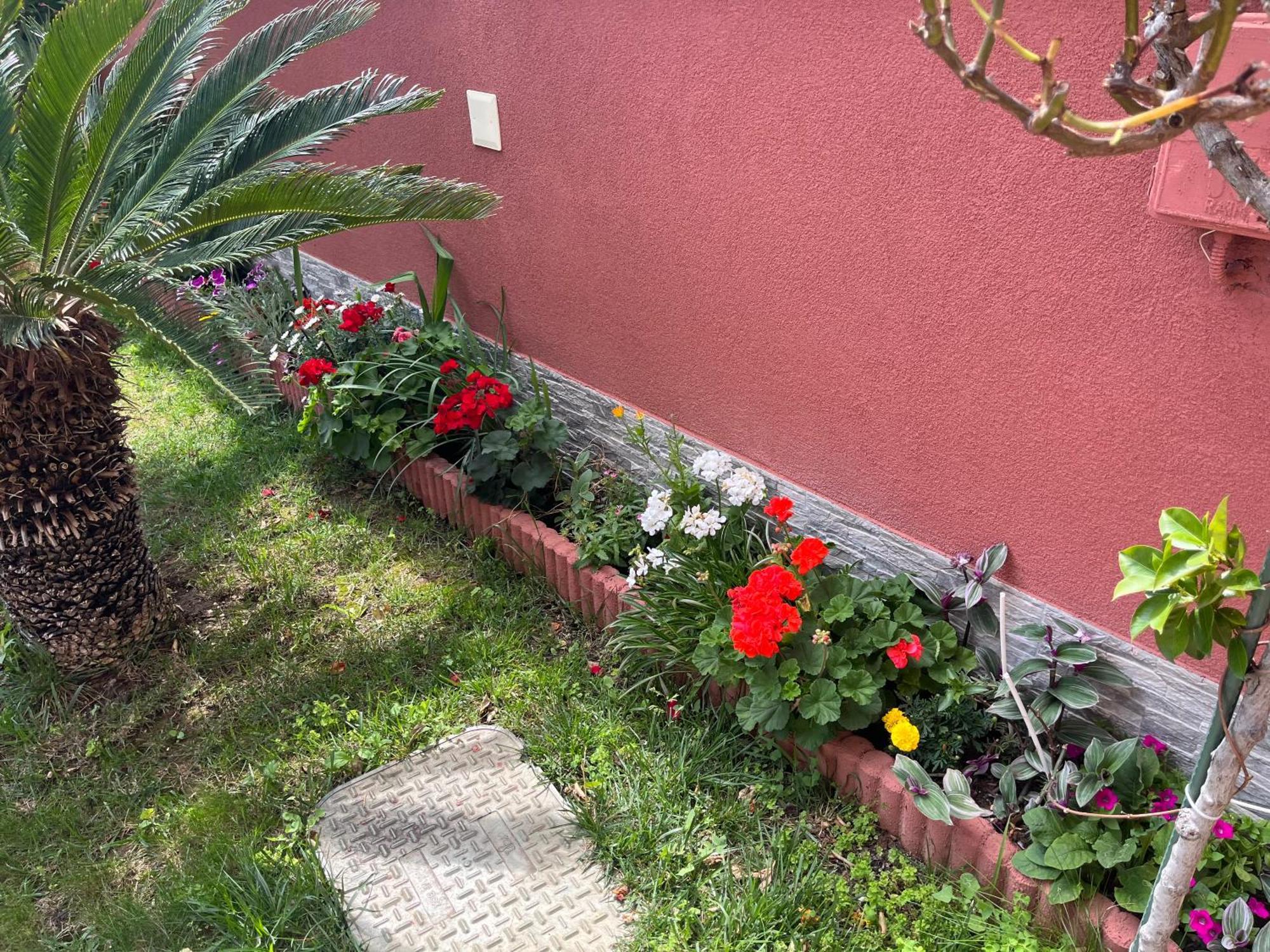 Apartments Villa Stella Maris روغوزنيكا المظهر الخارجي الصورة