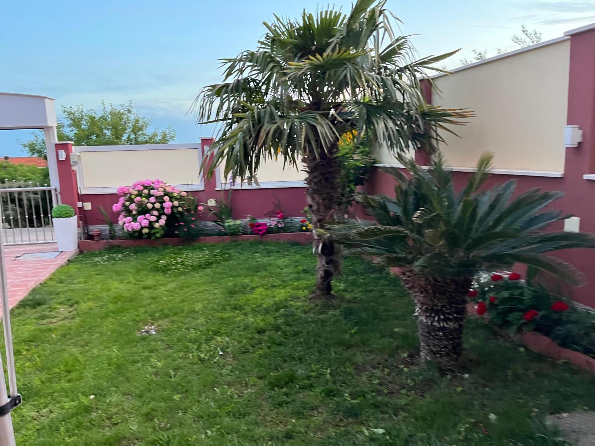 Apartments Villa Stella Maris روغوزنيكا المظهر الخارجي الصورة