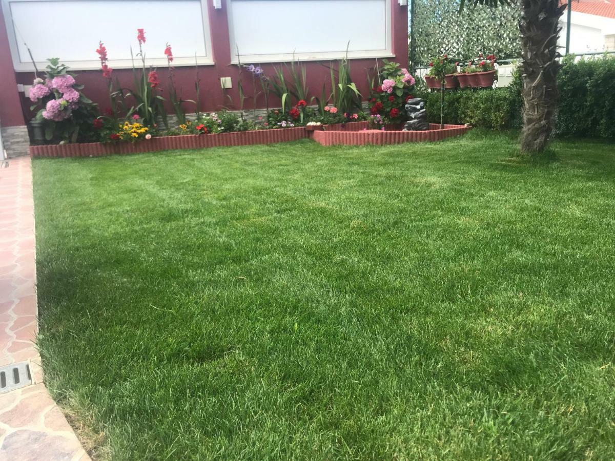 Apartments Villa Stella Maris روغوزنيكا المظهر الخارجي الصورة